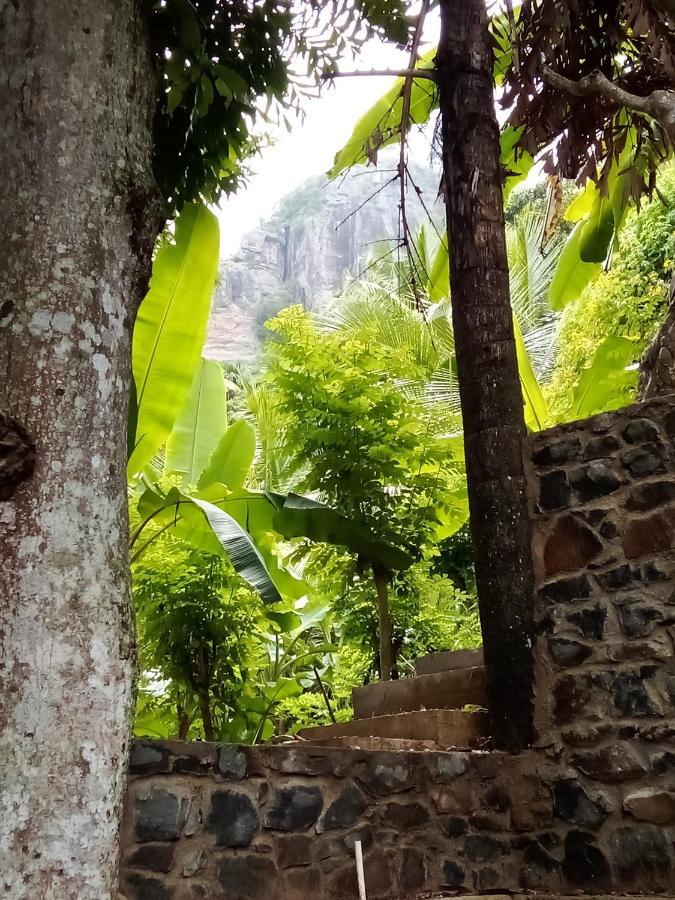 Forest Rawana Homestay Ella Kültér fotó