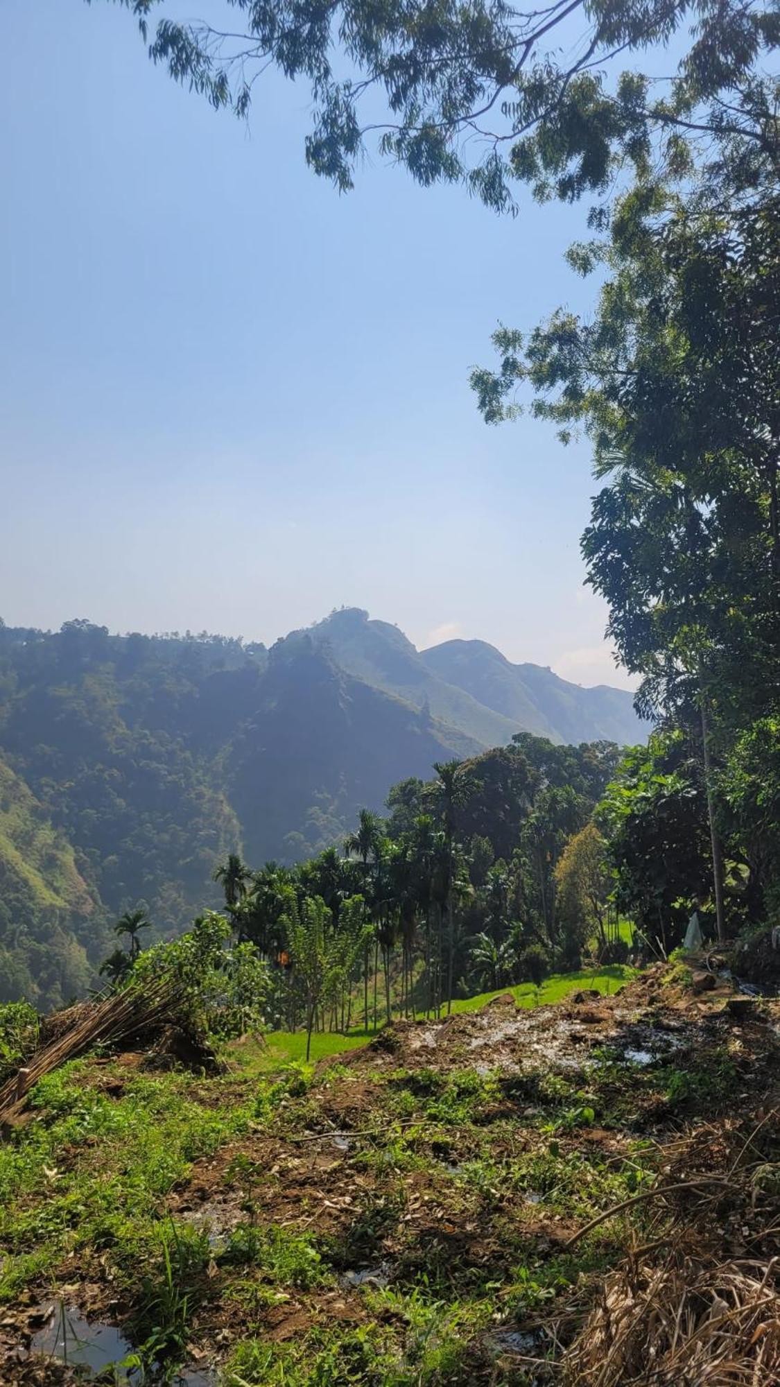 Forest Rawana Homestay Ella Kültér fotó