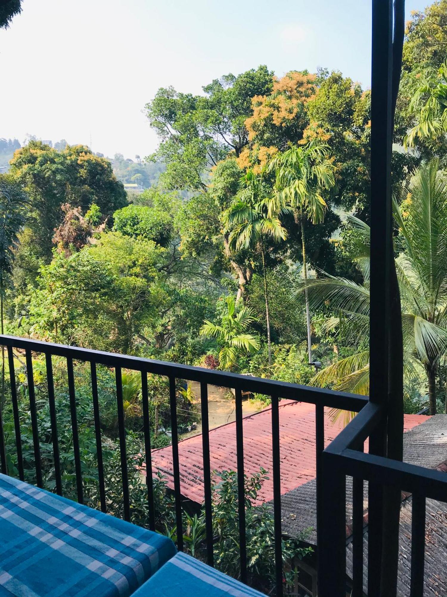 Forest Rawana Homestay Ella Kültér fotó