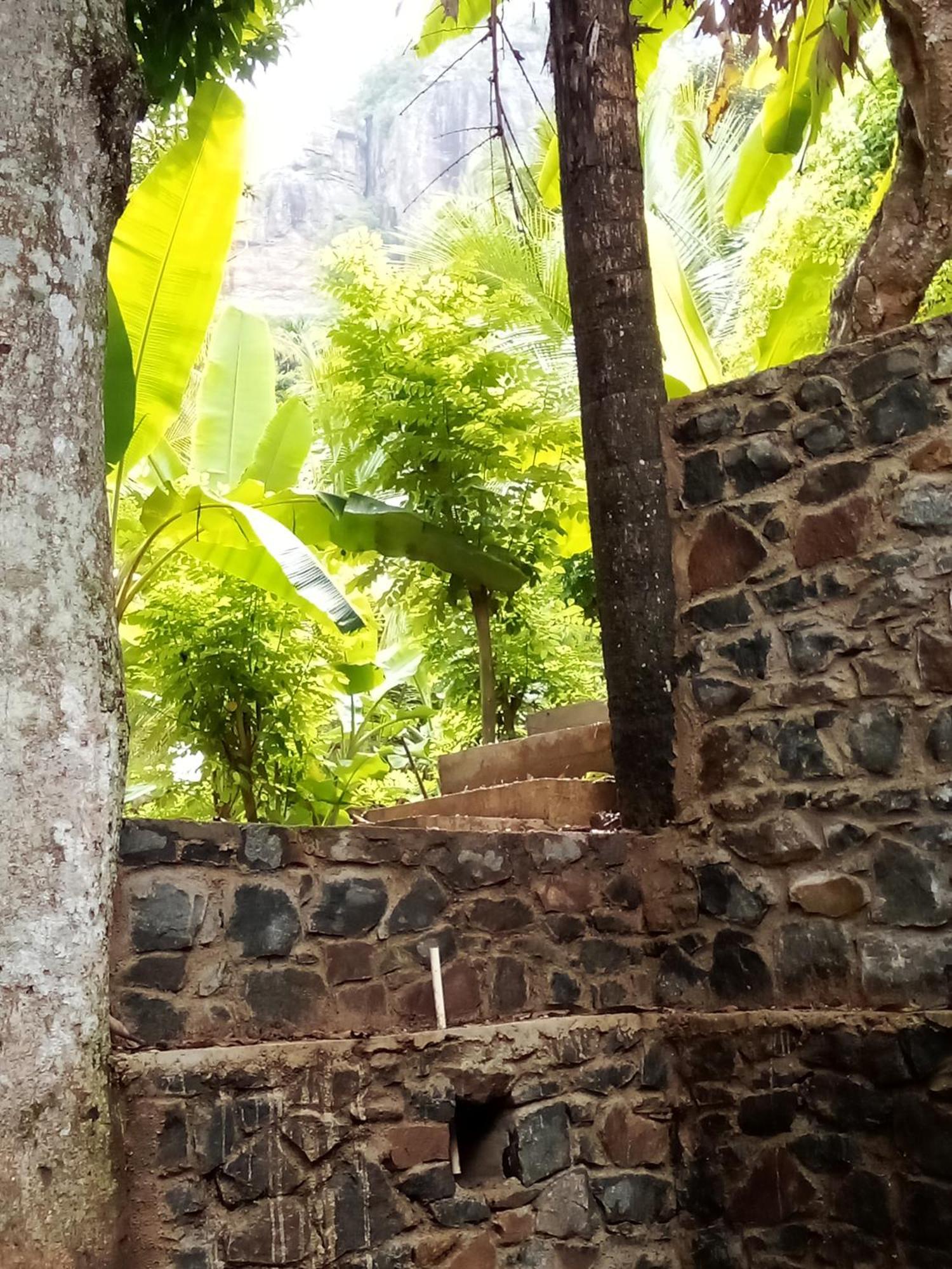 Forest Rawana Homestay Ella Kültér fotó