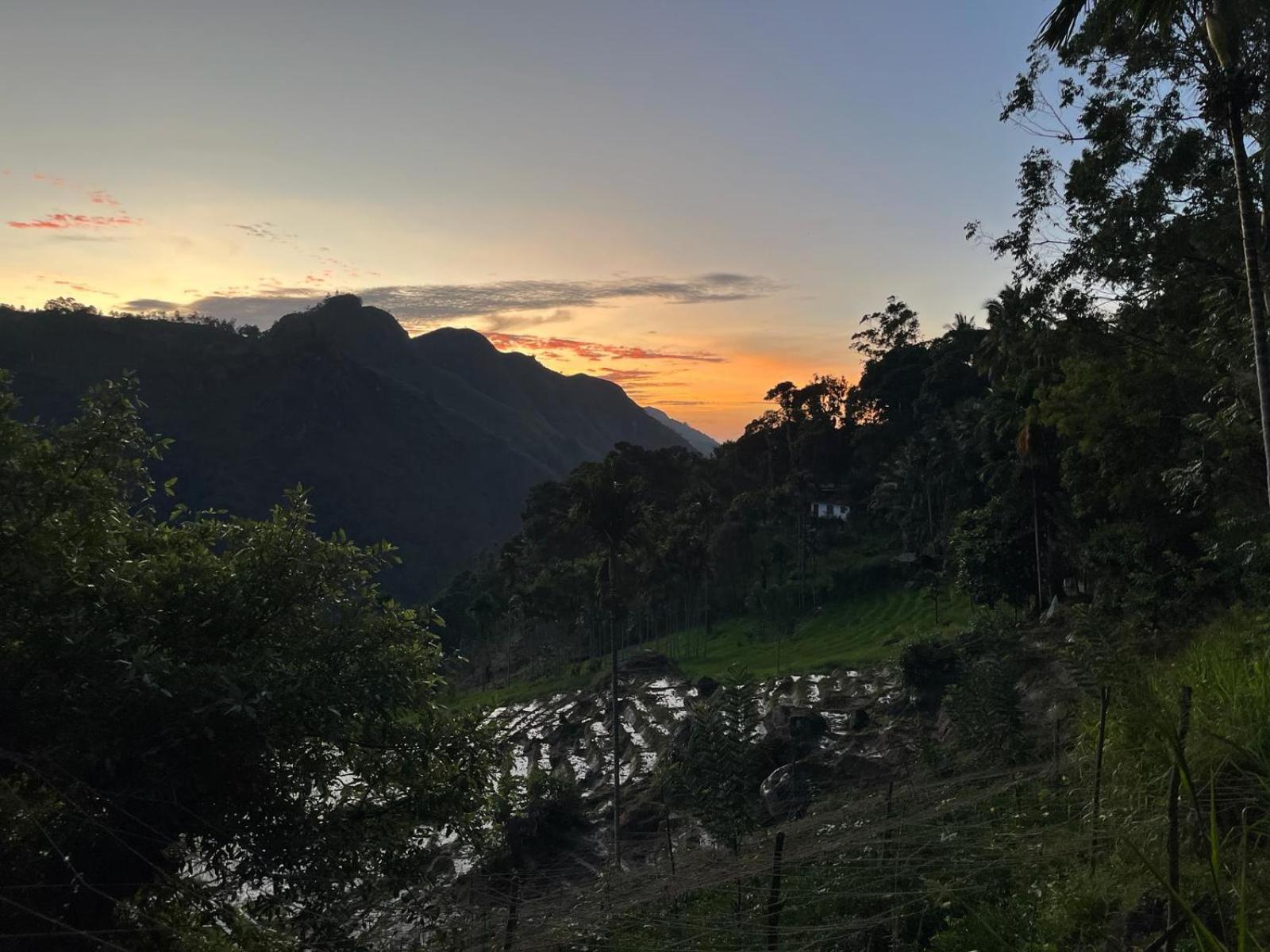 Forest Rawana Homestay Ella Kültér fotó