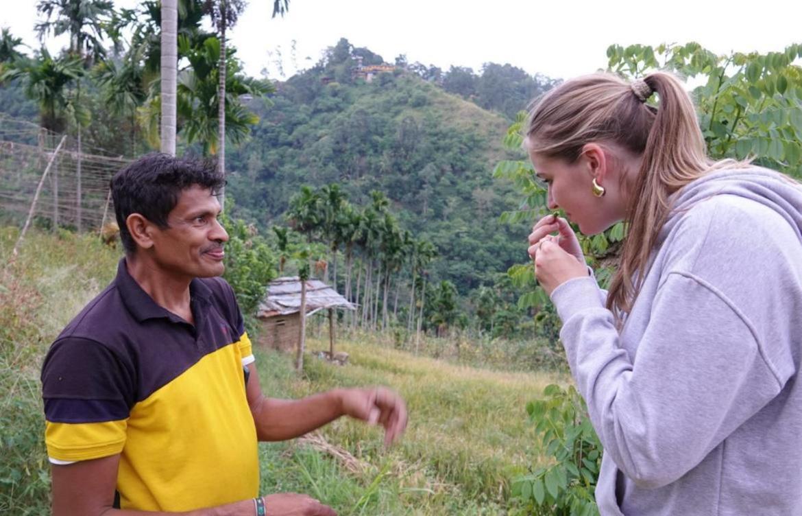 Forest Rawana Homestay Ella Kültér fotó