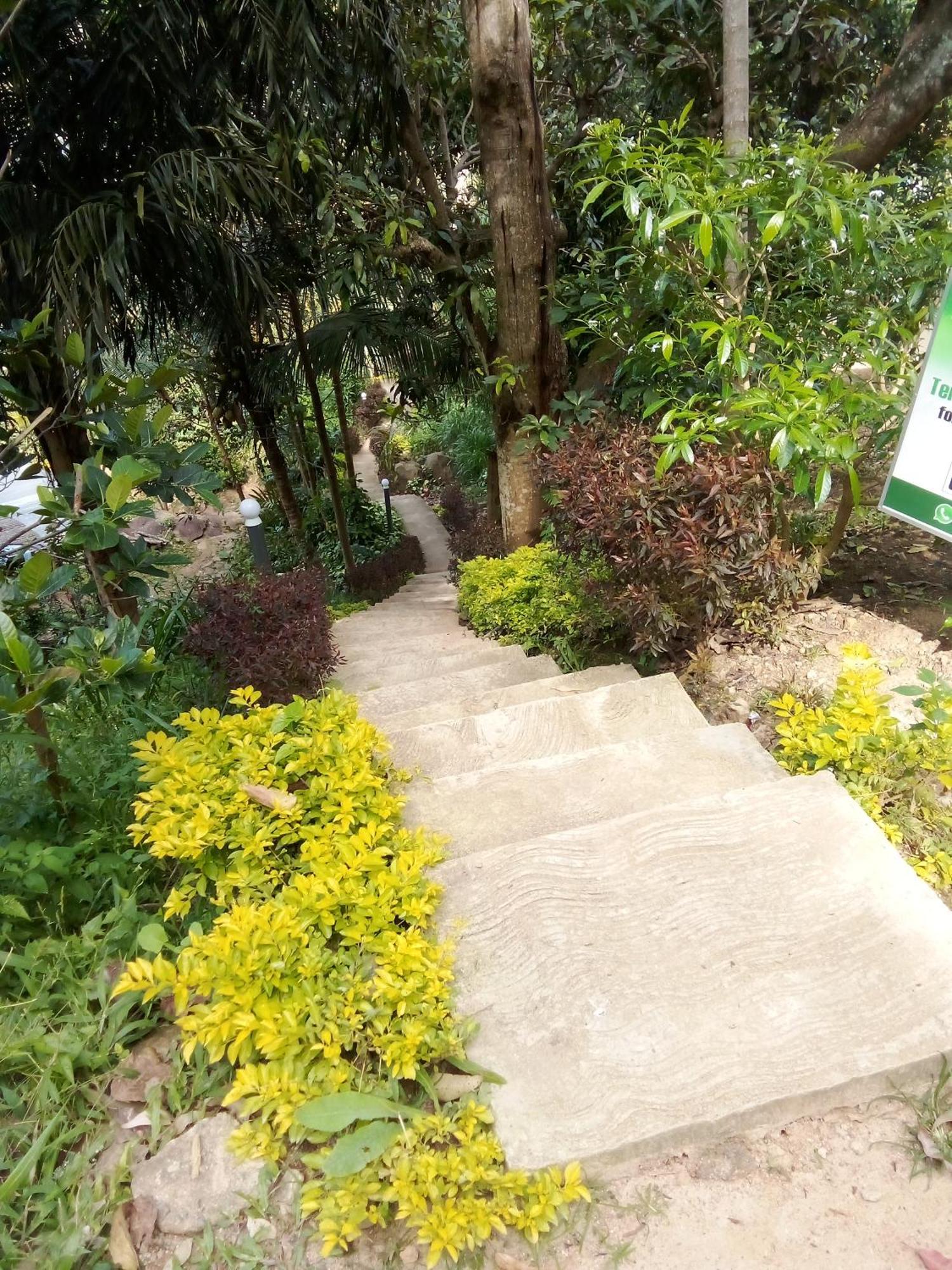 Forest Rawana Homestay Ella Kültér fotó