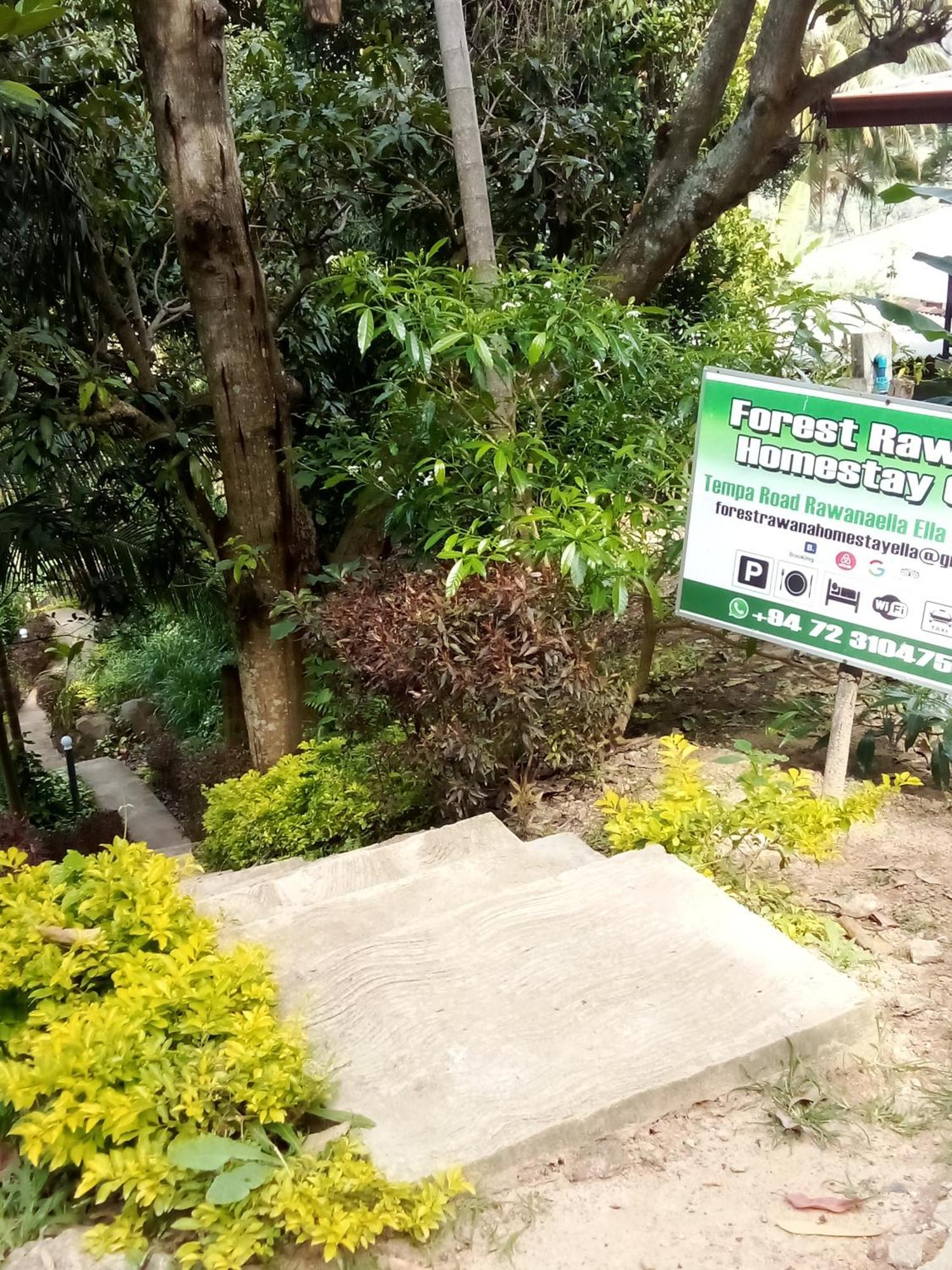 Forest Rawana Homestay Ella Kültér fotó